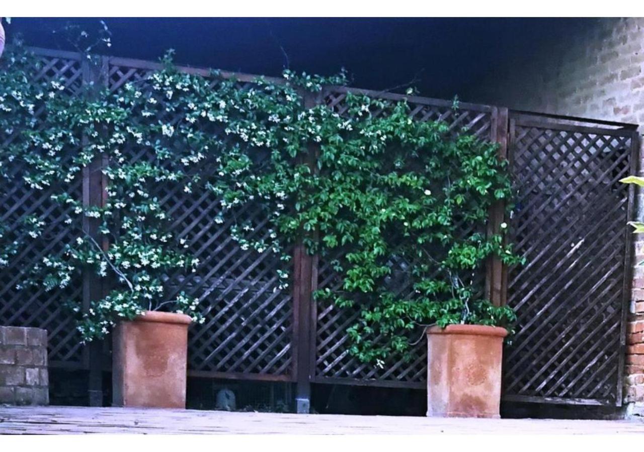 Agriturismo Le Crete - Appartamenti أسكيانو المظهر الخارجي الصورة